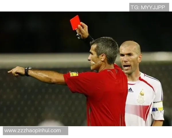 南京乒乓球队逆袭之旅：世界杯预选赛的奋斗与荣耀