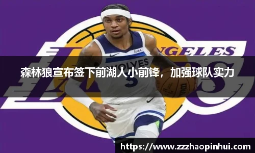 森林狼宣布签下前湖人小前锋，加强球队实力